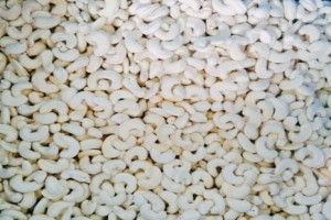 Cashew Nut from India